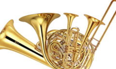 Several brass instruments